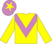 Racing silks of David Tsui.svg