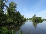 Marais de Bonance