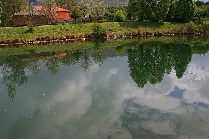 File:Reflejos. (5695753573).jpg