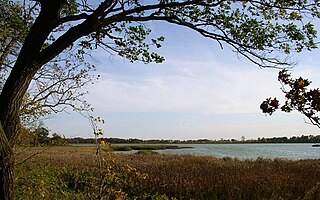 <span class="mw-page-title-main">Rice Lake State Park</span> State park in Minnesota, United States