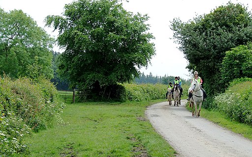 Riding on the Jack Mytton Way, Shirlett, Shropshire - geograph.org.uk - 456987