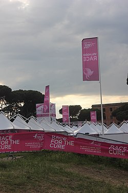 Roma Race for the Cure in circus maximus