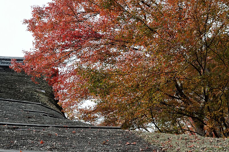 File:Saimyo-ji (7069429343).jpg