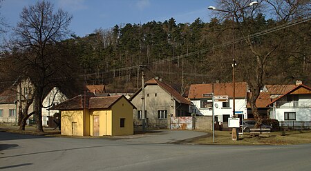 Sazená