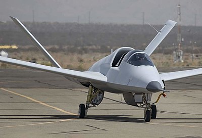 Scaled Composites 401