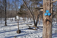 Hiking trails at Black Creek Preserve, one of Scenic Hudson's parks, in Esopus Scenic Hudson's Black Creek Preserve winter 2.JPG