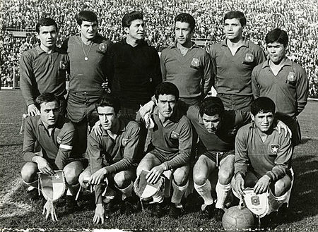 Selección Chilena de Fútbol 1966.jpg