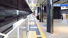 Tozai line platform