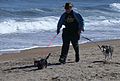 Man walking his dogs