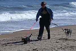 On a windy September beach