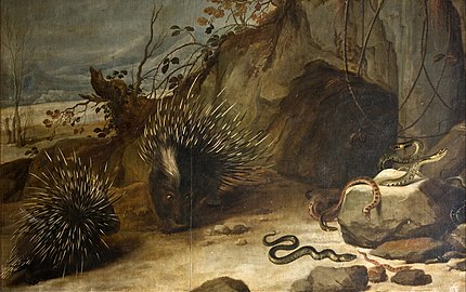 Puercoespines y víboras, de Frans Snyders (h. 1625-1650).