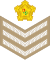 Etelä-Afrikka-Army-OR-7-1961.svg