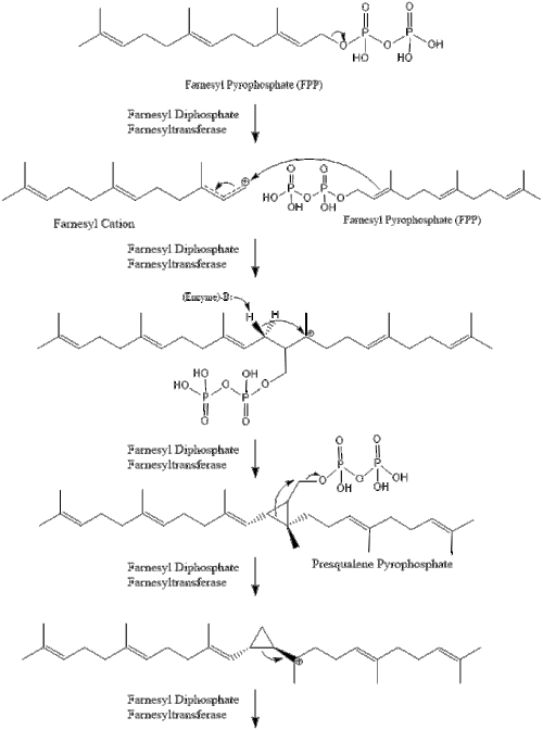 Squalene Synthesis.gif