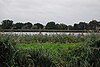 Woodberry Wetlands