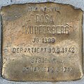 Rosa Kupferberg