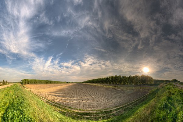 Fields near Po river in Viadana