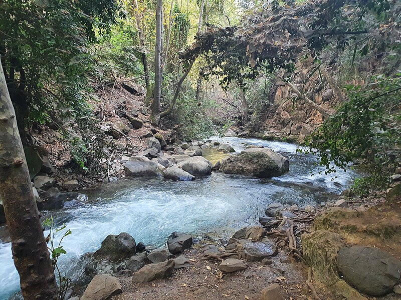 File:Syrian Tank Stream.jpg