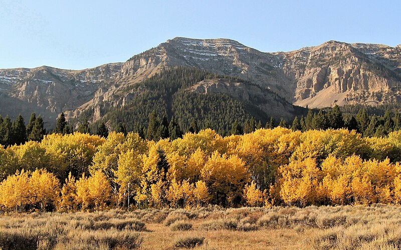 File:Taylor Mountain with Aspen Tones.jpg