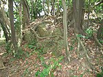 Tenjinyama Castle Yagura.jpg