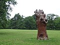The Owl Tree, Cassiobury Park, Watford - geograph.org.uk - 3008467.jpg
