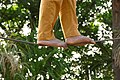 * Nomination Tightrope balancing act in the Chokhi Dhani Resort Panchkula, Haryana, India --Kritzolina 16:38, 2 November 2023 (UTC) * Decline  Oppose The feet are mostly blurry. --C messier 19:36, 10 November 2023 (UTC)