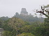 Deltagarpris: Veckans tävling vecka 6 2020, Till Tokyo V – Mellanamerika Tvehövdade ormens tempel i Tikal, 64 m