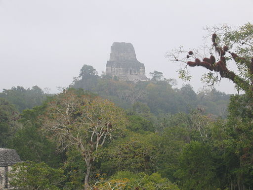 Tikal1