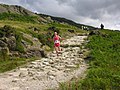 Thumbnail for Snowdon Race