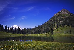 Tipsoo Lake.jpg