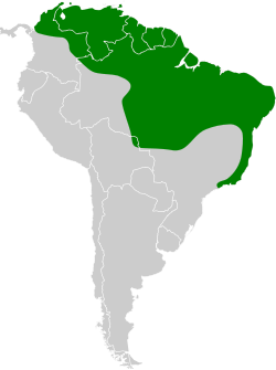 Distribución geográfica del picoplano pechiamarillo.