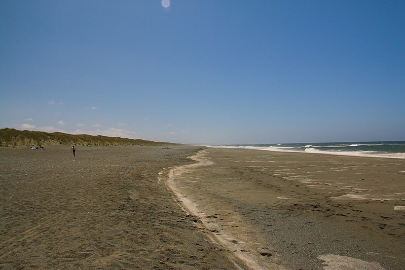 File:Tolowa Dunes State Park.jpg