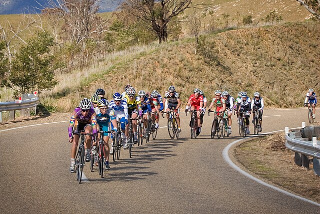 The Tour of Gippsland – a stage race in Australia – climbing through the Omeo Shire