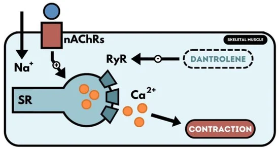 File:Toxics-11-00723-g003-550.webp