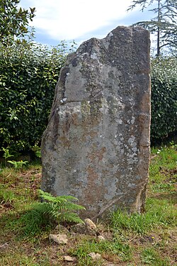 Image illustrative de l’article Menhir de Kerariou