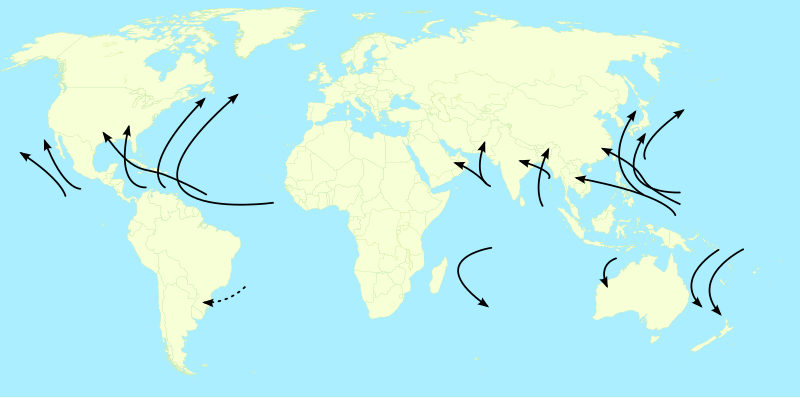 File:Tropical Cyclone Average Track worldwide.svg