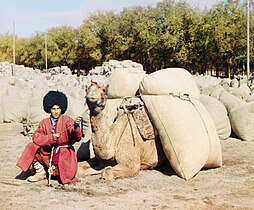 Turkmen man with camel.jpg