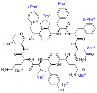 <span class="mw-page-title-main">Tyrocidine</span> Chemical compound