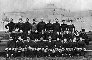 <span class="mw-page-title-main">1910 Pittsburgh Panthers football team</span> American college football season