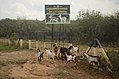 Vallanadu Wildlife Sanctuary JEG1693.jpg