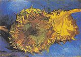 Two Cut Sunflowers, 1887, Metropolitan Museum of Art, New York (F375)