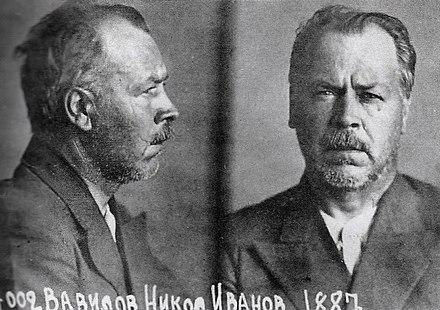 Botanist Nikolai Vavilov's photo, taken at the time of his arrest.