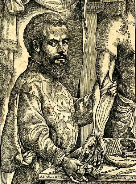 File:Vesalius Portrait pg xii - c.png