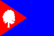 Bukovany zászlaja
