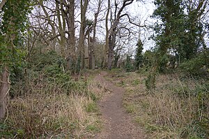 Warren Nature Reserve 3.JPG