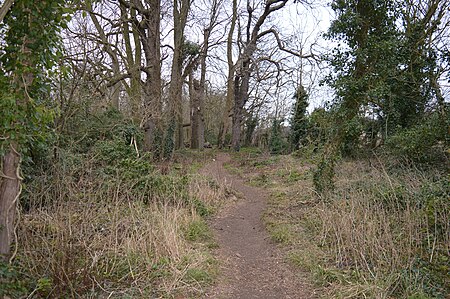 Warren Nature Reserve 3