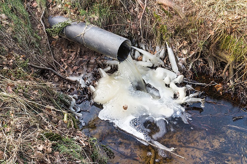 File:Wateruitstroom bij -8° Celsius. Locatie, Natuurterrein De Famberhorst 04.jpg