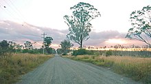 Cumberland Plain Woodland, a grassy woodland that covers Western Sydney Western Sydney (Badgerys Creek) Airport site - Longleys Rd.JPG