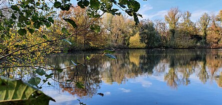 Flaschenweiher Nievelstein