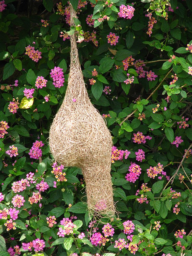 Re-Think Pink Flamingos & Tropical Foliage Nesting Bamboo Fiber