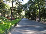 Parc Yildiz